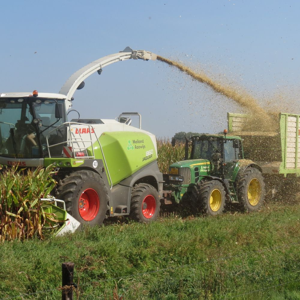 Claas 860 shredlage