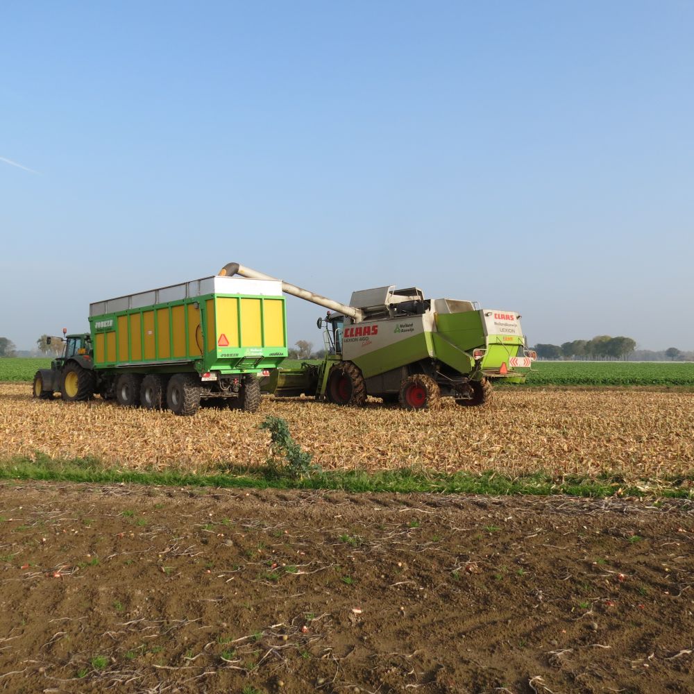 Korrels lossen