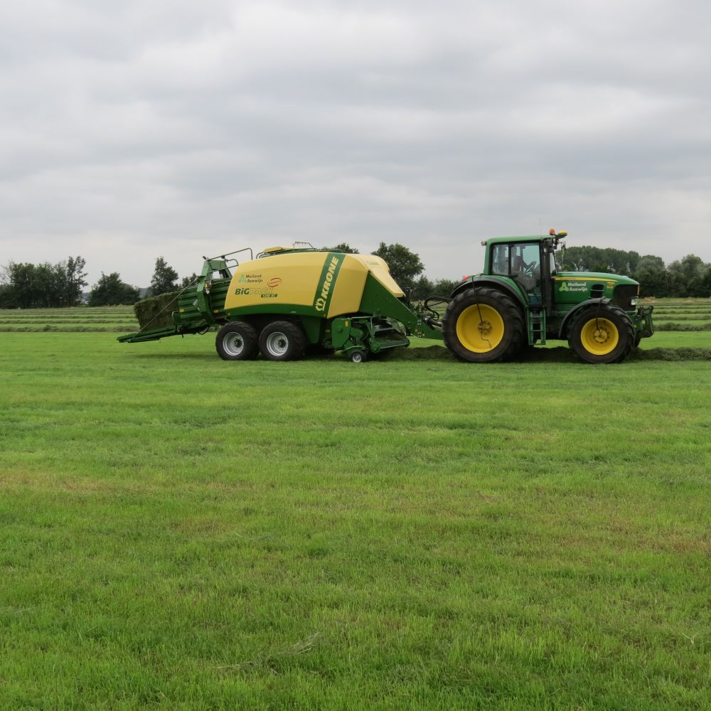 Krone pers.