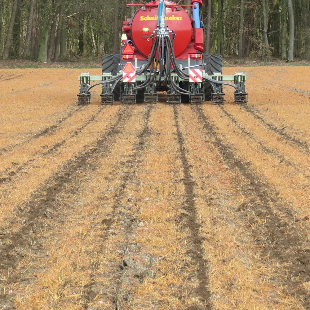 Striptill 018
